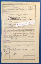 Pau 1966 certificat d'occasion  Expédié en Belgium