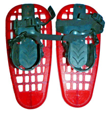 Bean snowshoes little for sale  Medford