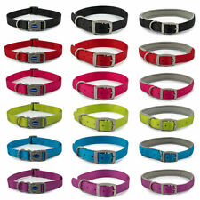 Ancol viva dog for sale  THAME