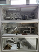 Terrarack 100x40x40 gebraucht kaufen  Nürnberg