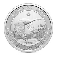 2025 canadian goose for sale  Austin