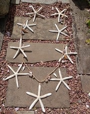 Starfish rope wall for sale  DURHAM
