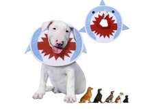 Adjustable soft dog for sale  Florence