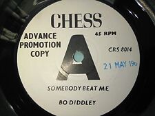 Diddley somebody beat for sale  TAVISTOCK