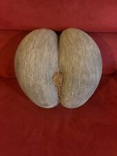 Vend coco fesse d'occasion  Mougins