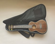 Snail ukc 498 for sale  LEICESTER