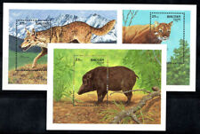 Bhutan 1991 mi. usato  Bitonto