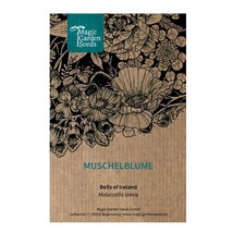 Muschelblume glocken irland gebraucht kaufen  Regensburg