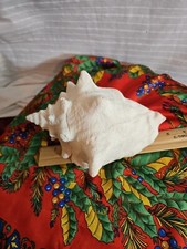 Large conch shell for sale  Overland Park