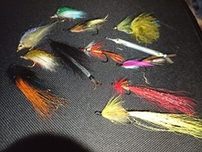 12x salmon trout for sale  DURHAM