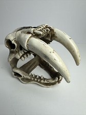 Saber tooth tiger for sale  Athens