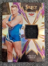 Wwe 2024 panini gebraucht kaufen  Halle