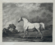 CAVALO DE CORRIDA PURO-SANGUE MAMBRINO GRAVURA ANTIGA ENGENHEIRO MENSAGEIRO 18º 19º comprar usado  Enviando para Brazil