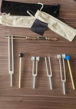 Stimmgabel therapieset buch gebraucht kaufen  Oberweißbach/Thür. Wald