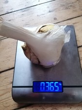 Elefantenknoblauch knoblauch g gebraucht kaufen  Bayreuth