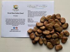 Dwarf broad bean for sale Dwarf broad bean for sale  PEEBLES