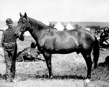 1876 lone survivor for sale  Manchester Township
