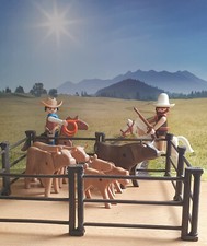 Playmobil western cowboys gebraucht kaufen  Herborn
