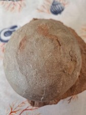 Rginal saurierei china gebraucht kaufen  Xanten