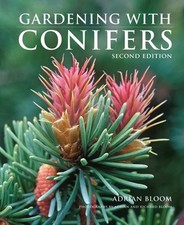 Gardening conifers for sale  Pittsburgh