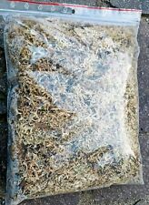 Sphagnum moos tüte gebraucht kaufen  Obertshausen
