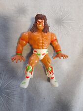 Vintage wwf hasbro for sale  CANTERBURY