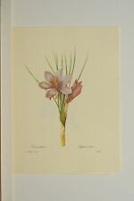 Reproduction gravure redoute d'occasion  Pontoise