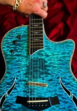 Taylor 2018 glossy for sale  Fairfax