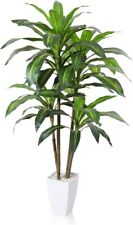 Artificial dracaena tree for sale  SALFORD