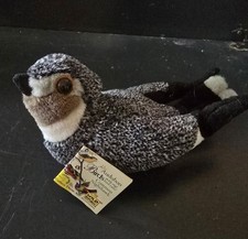 Common nighthawk wild for sale  Burlington