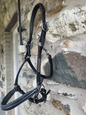 leather headcollar for sale  PWLLHELI