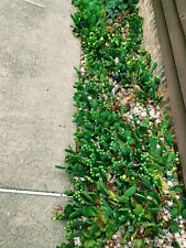 Wholesale lot winter for sale  Irwin