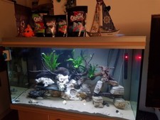 Aquarium fish tank for sale  WELLING