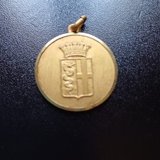 Medaglia italiana gruppo usato  Riolo Terme