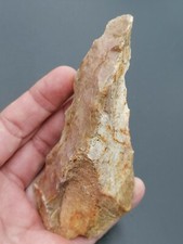 Neanderthal middle paleolithic d'occasion  Bonneville