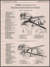 1942 horse team for sale  Austin