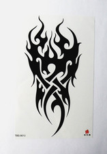 Vianille tatouage temporaire d'occasion  Saint-Brieuc