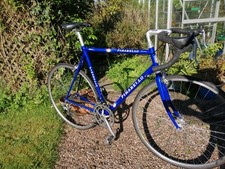 Pinarello 56cm sestriere for sale  BIDEFORD