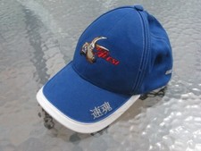 Schirmkappe mütze cap gebraucht kaufen  Homburg