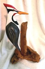 Ivory billed woodpecker for sale  Oxford