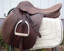 Collegiate english jump for sale  Pennellville