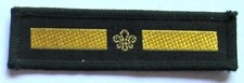 Scout badge assistant for sale  ASHFORD
