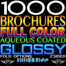 1000 brochures full for sale  New York