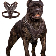 Imbracatura per cani usato  Spedire a Italy