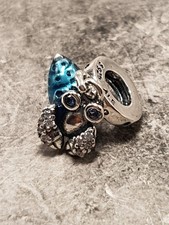 hermit crab for sale hermit crab for sale BRISTOL