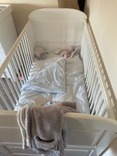 East coast angelina for sale  PRESTON