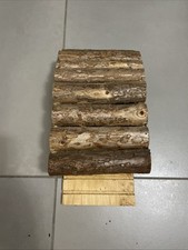Casetta per pipistrelli usato  Roma