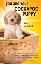 Cockapoo puppy nutshell for sale  Aurora
