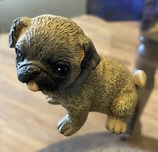 Fawn pug puppy for sale  Kimberly