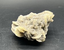 Sandrose wüstenrose 4000 gebraucht kaufen  Schwerin